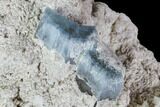 Aquamarine Crystals in Albite Crystal Matrix - Pakistan #111355-1